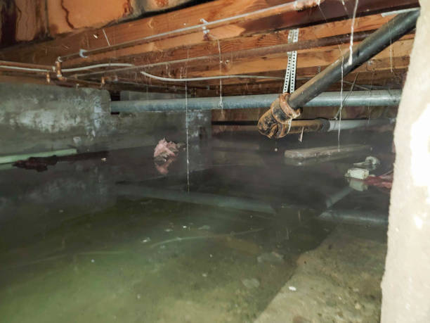Best Professional water damage repair  in Marietta, PA