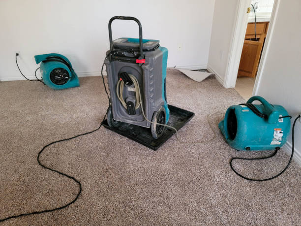 Best Flooded house restoration  in Marietta, PA