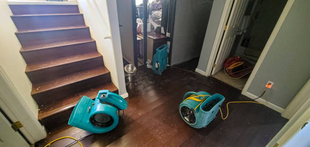 Best Carpet water damage restoration  in Marietta, PA