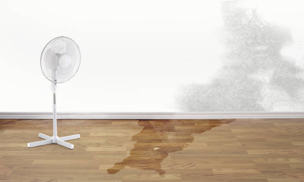 Best Carpet water damage restoration  in Marietta, PA